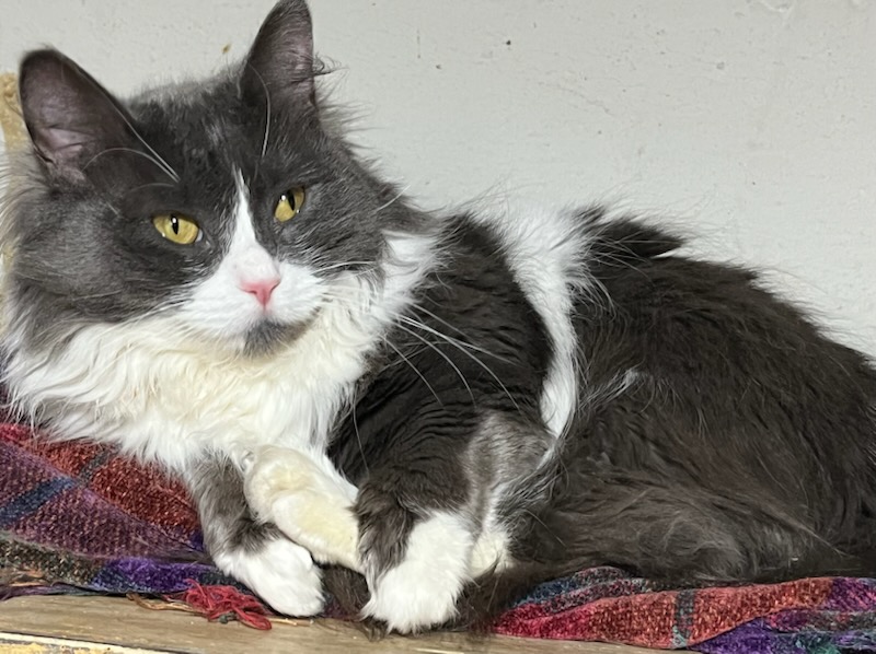 Generic placeholder image