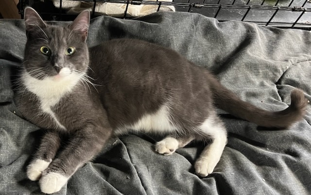 Generic placeholder image