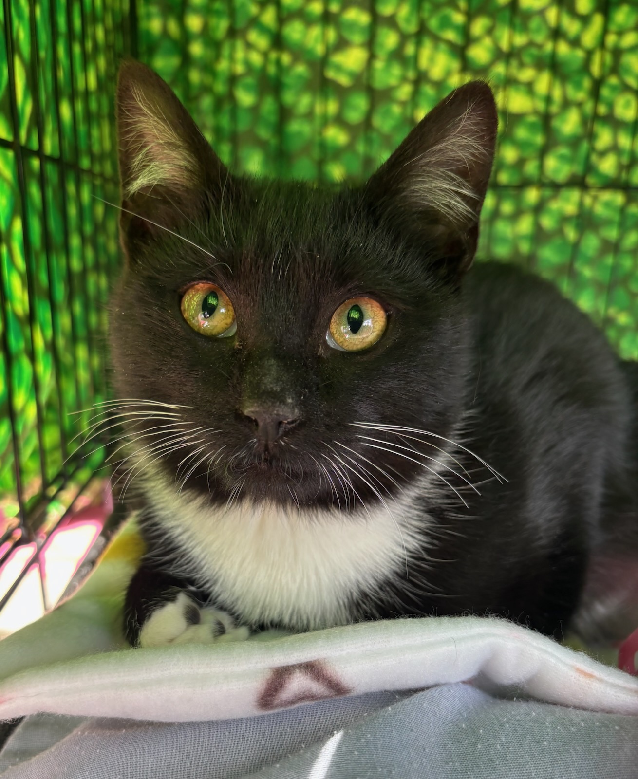 Generic placeholder image