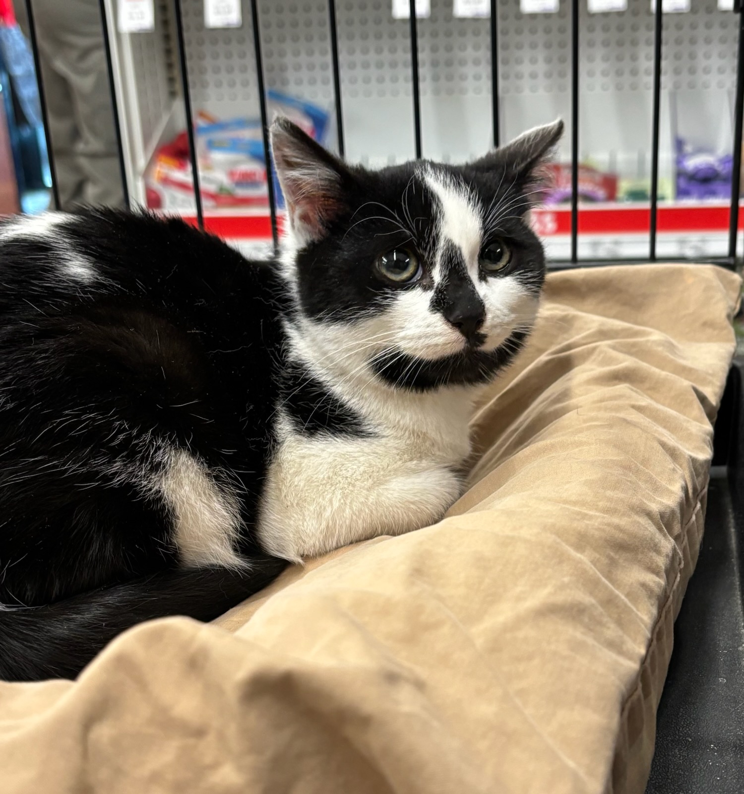 Generic placeholder image