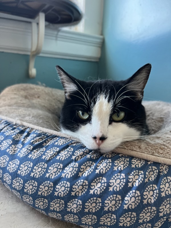 Generic placeholder image