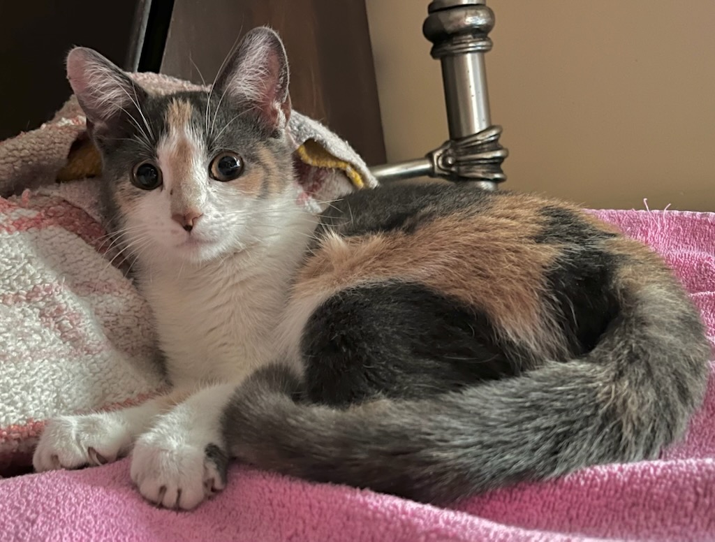 Generic placeholder image