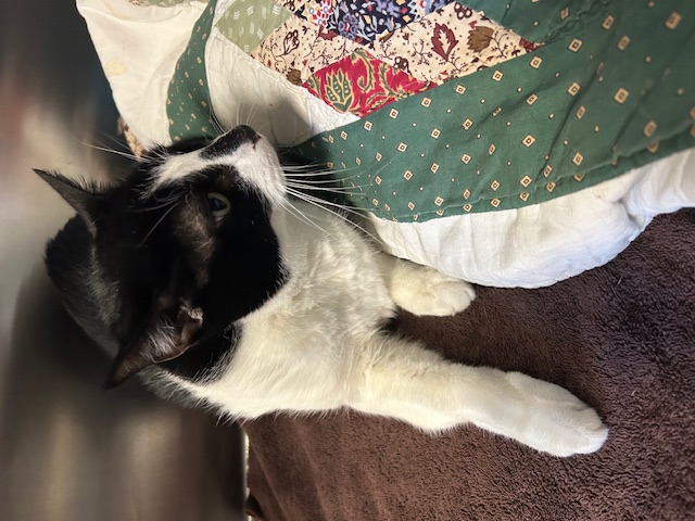 Generic placeholder image