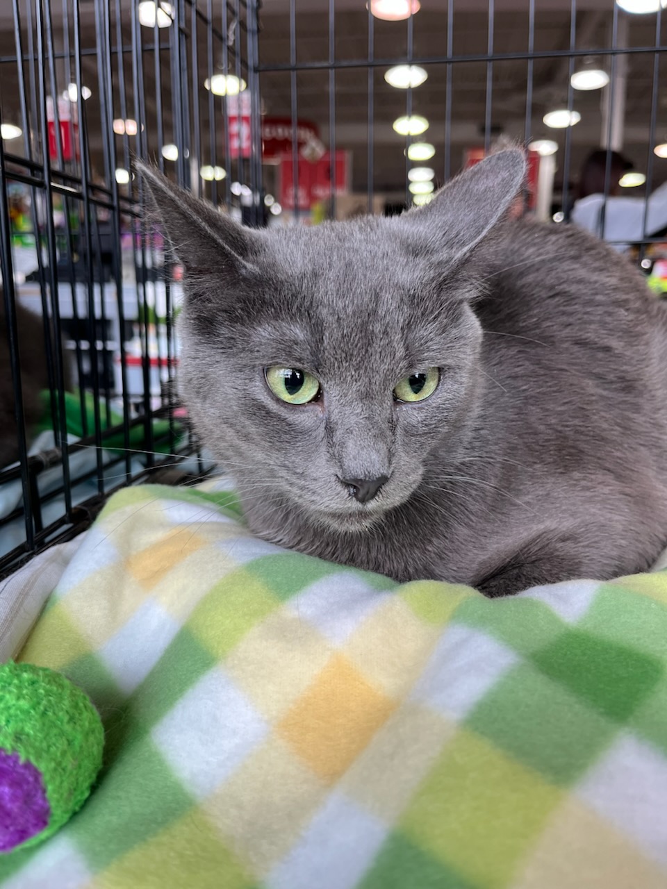 Generic placeholder image