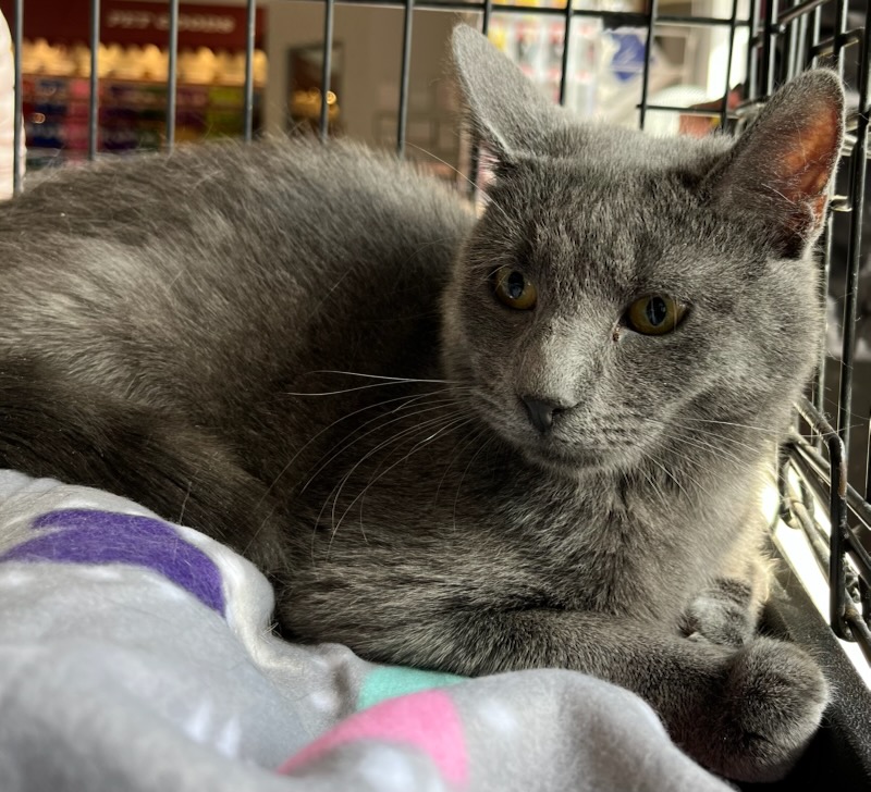 Generic placeholder image