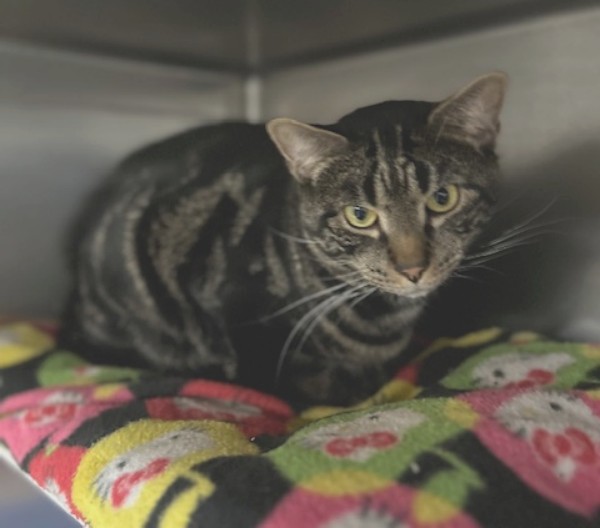 Generic placeholder image