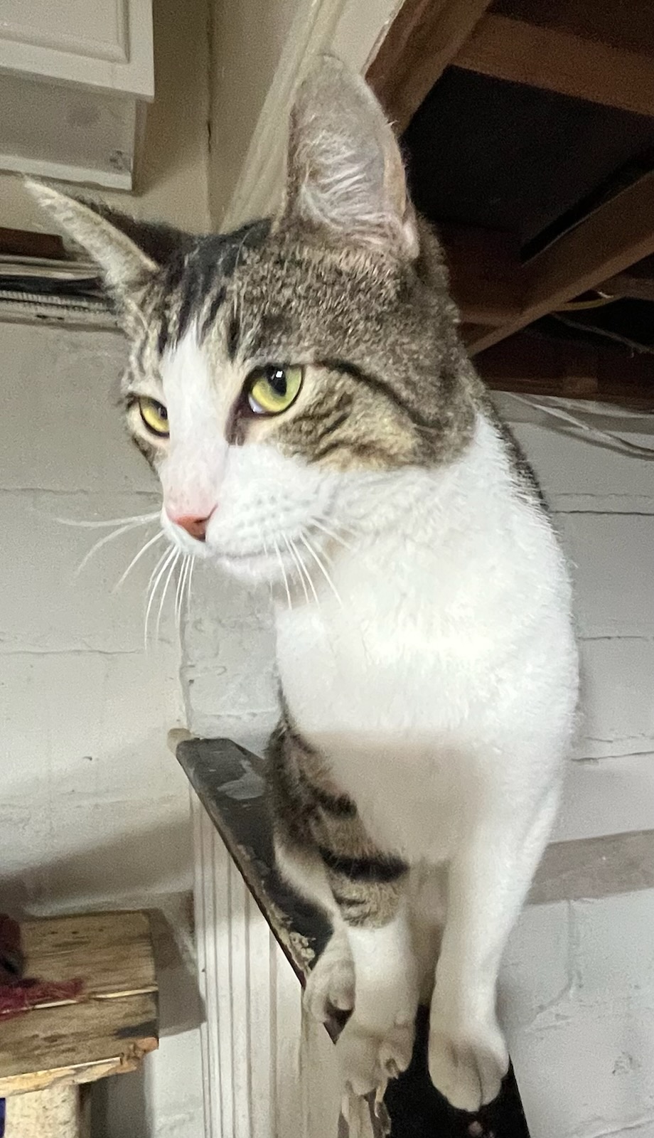 Generic placeholder image