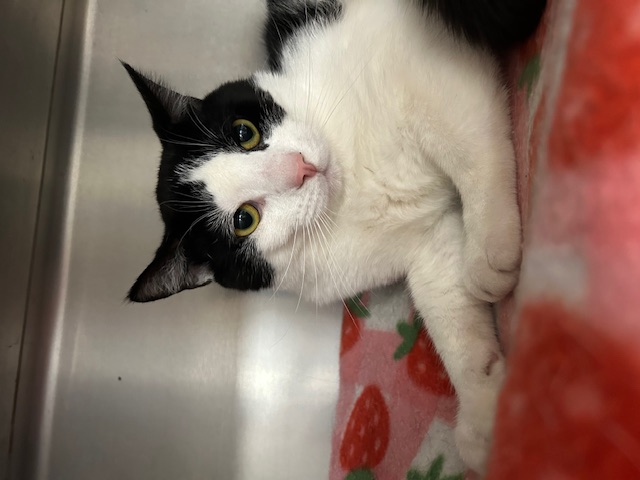 Generic placeholder image