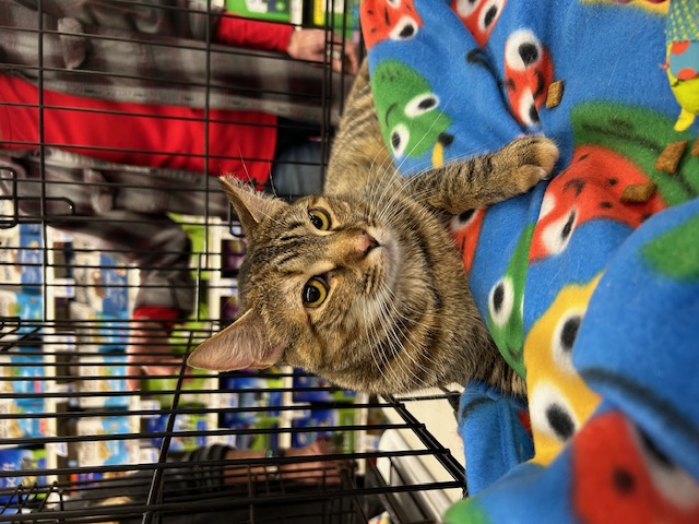 Generic placeholder image