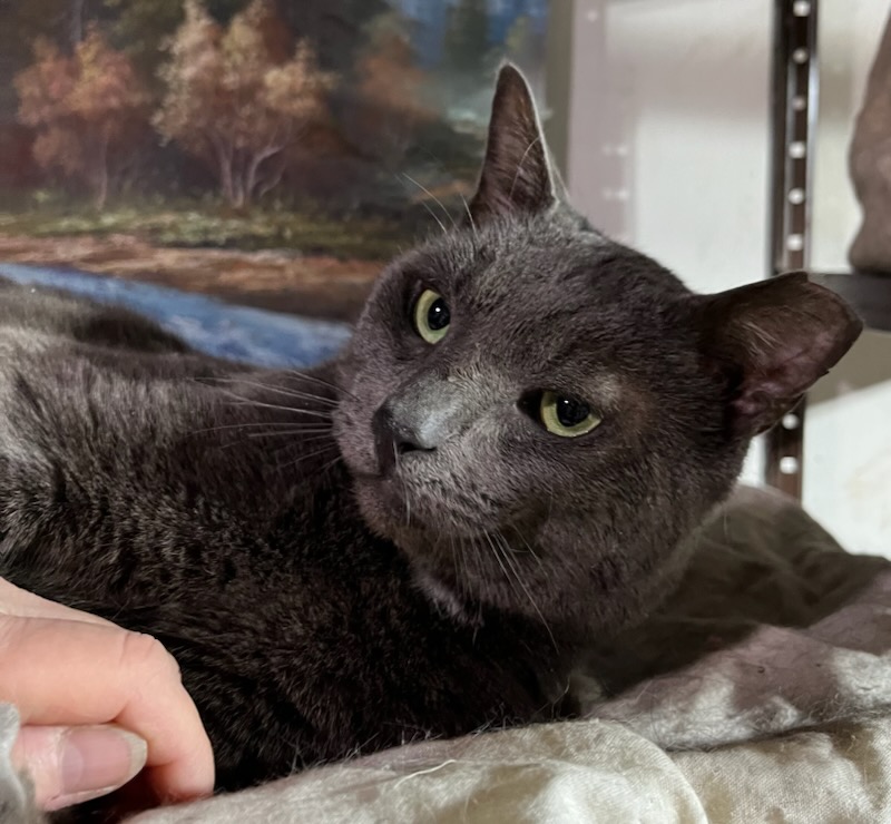 Generic placeholder image