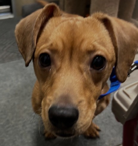 Generic placeholder image