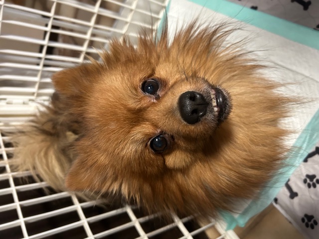 Generic placeholder image