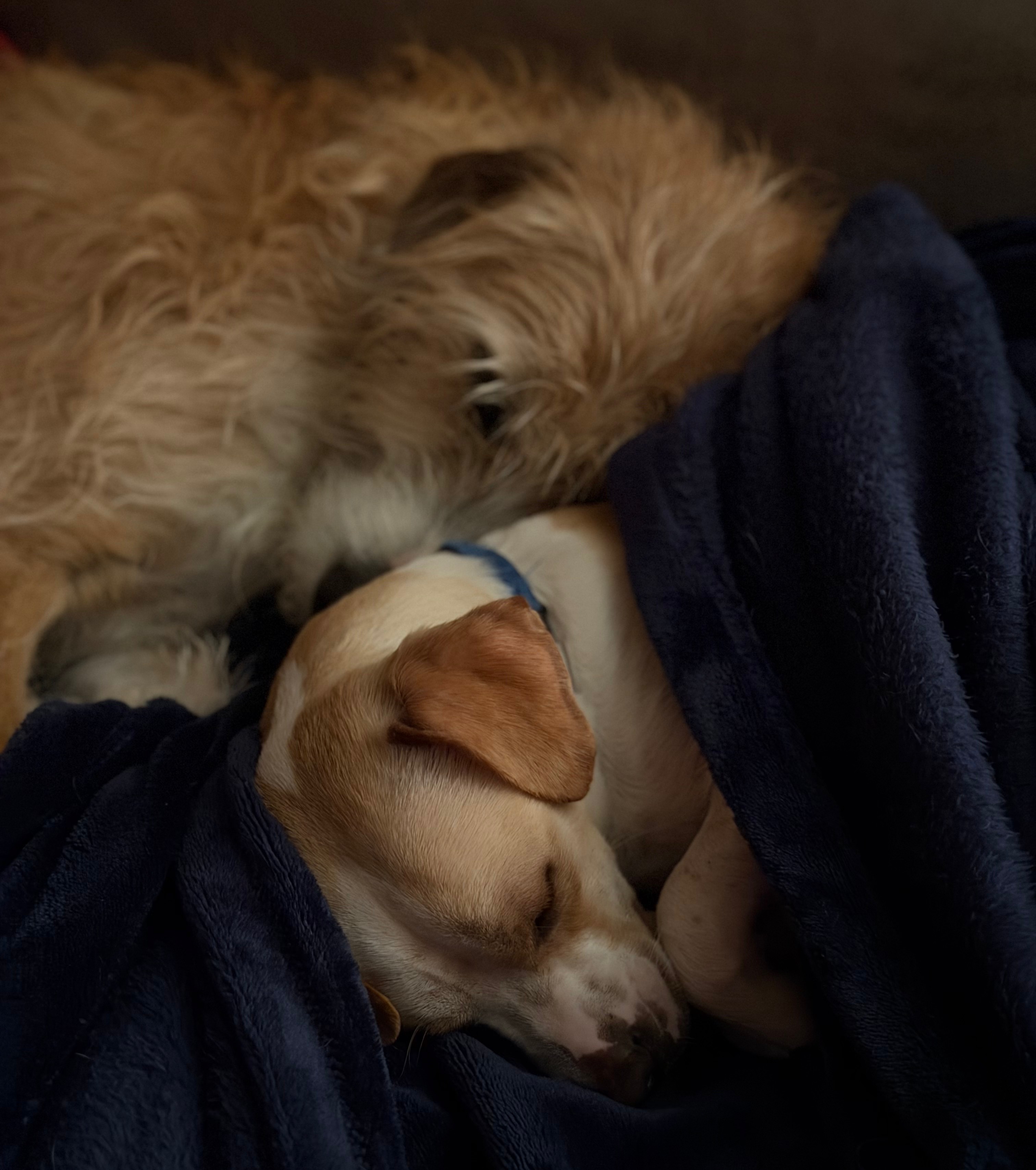 Generic placeholder image