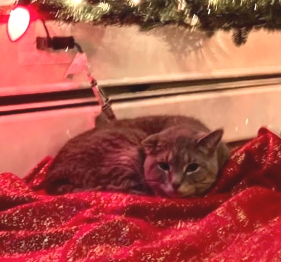 Generic placeholder image